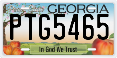 GA license plate PTG5465