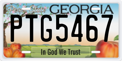 GA license plate PTG5467