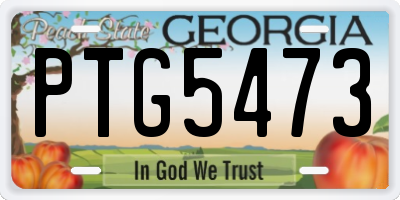 GA license plate PTG5473