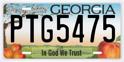 GA license plate PTG5475