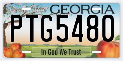 GA license plate PTG5480