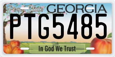 GA license plate PTG5485