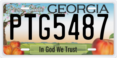 GA license plate PTG5487