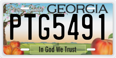 GA license plate PTG5491