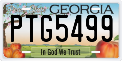 GA license plate PTG5499