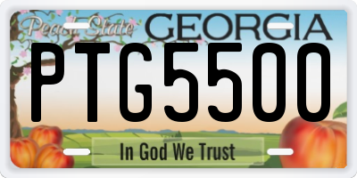 GA license plate PTG5500