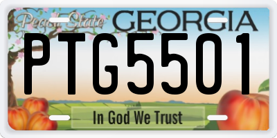 GA license plate PTG5501