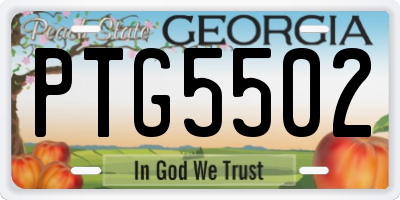 GA license plate PTG5502