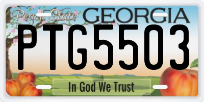 GA license plate PTG5503