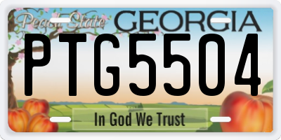 GA license plate PTG5504