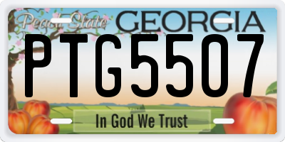 GA license plate PTG5507