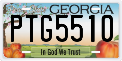 GA license plate PTG5510