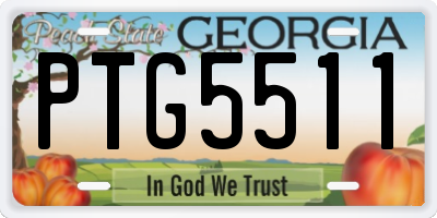 GA license plate PTG5511