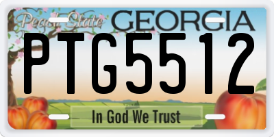 GA license plate PTG5512