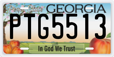GA license plate PTG5513