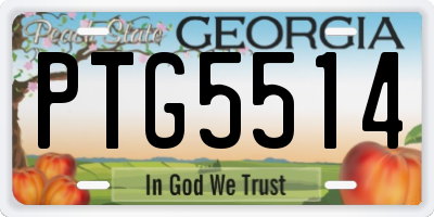 GA license plate PTG5514