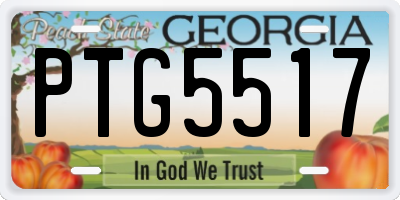 GA license plate PTG5517