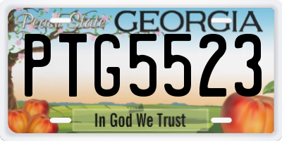 GA license plate PTG5523