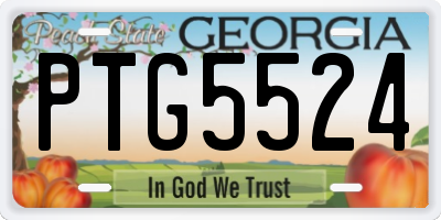 GA license plate PTG5524