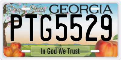 GA license plate PTG5529