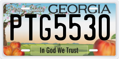 GA license plate PTG5530
