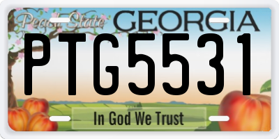 GA license plate PTG5531