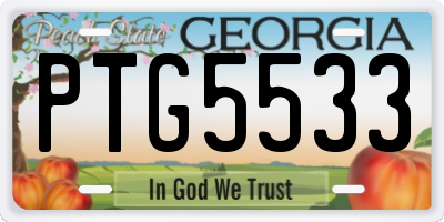 GA license plate PTG5533