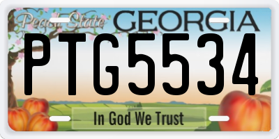 GA license plate PTG5534
