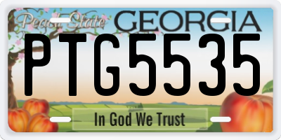 GA license plate PTG5535
