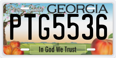 GA license plate PTG5536