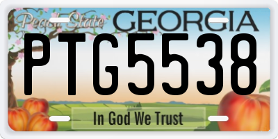 GA license plate PTG5538