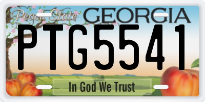 GA license plate PTG5541