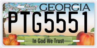 GA license plate PTG5551