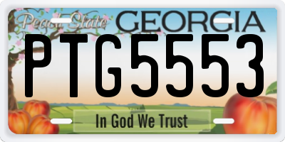GA license plate PTG5553