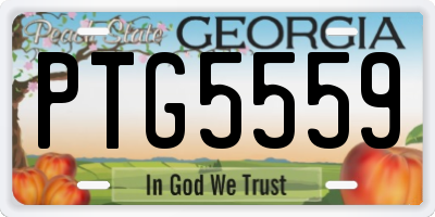 GA license plate PTG5559