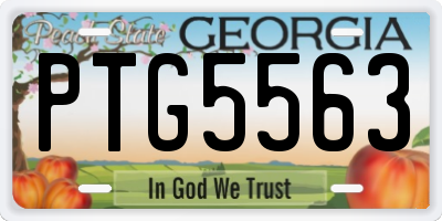 GA license plate PTG5563