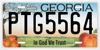 GA license plate PTG5564