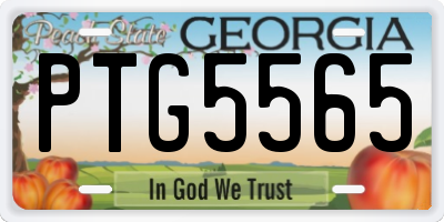 GA license plate PTG5565