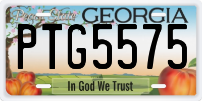 GA license plate PTG5575