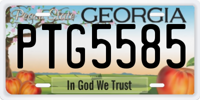 GA license plate PTG5585
