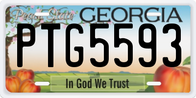 GA license plate PTG5593