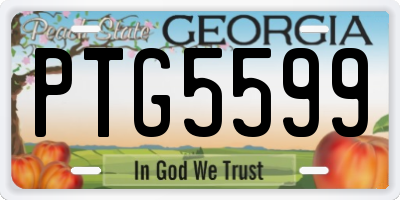 GA license plate PTG5599