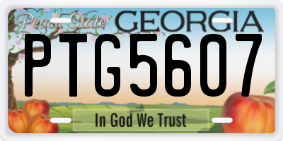 GA license plate PTG5607