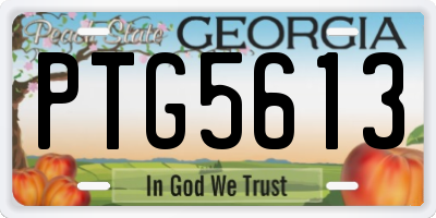 GA license plate PTG5613