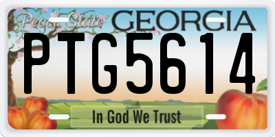 GA license plate PTG5614