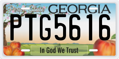 GA license plate PTG5616