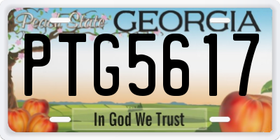 GA license plate PTG5617