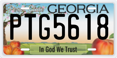 GA license plate PTG5618