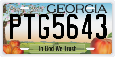 GA license plate PTG5643