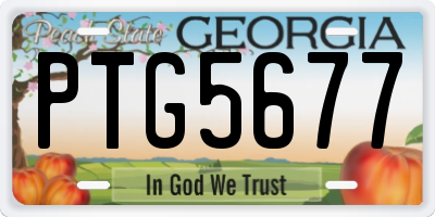 GA license plate PTG5677
